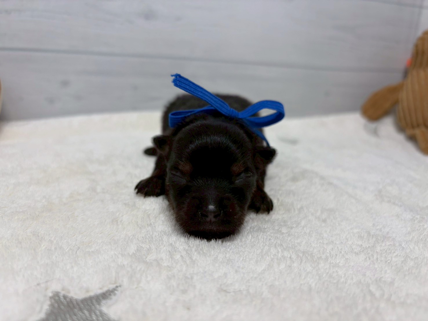 赤ちゃん写真1-1