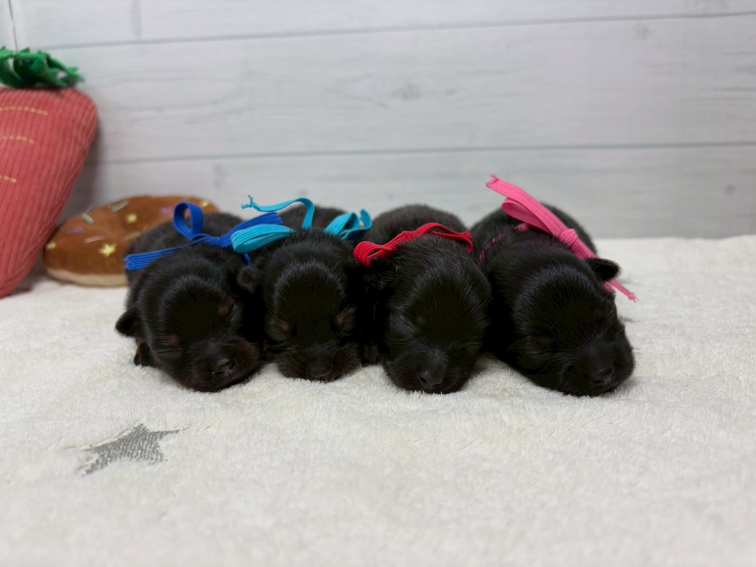 赤ちゃん写真1-3