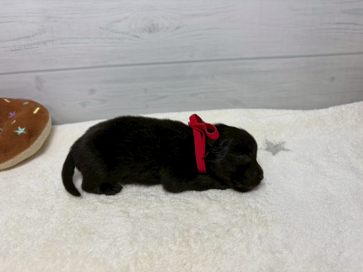 赤ちゃん写真1-2