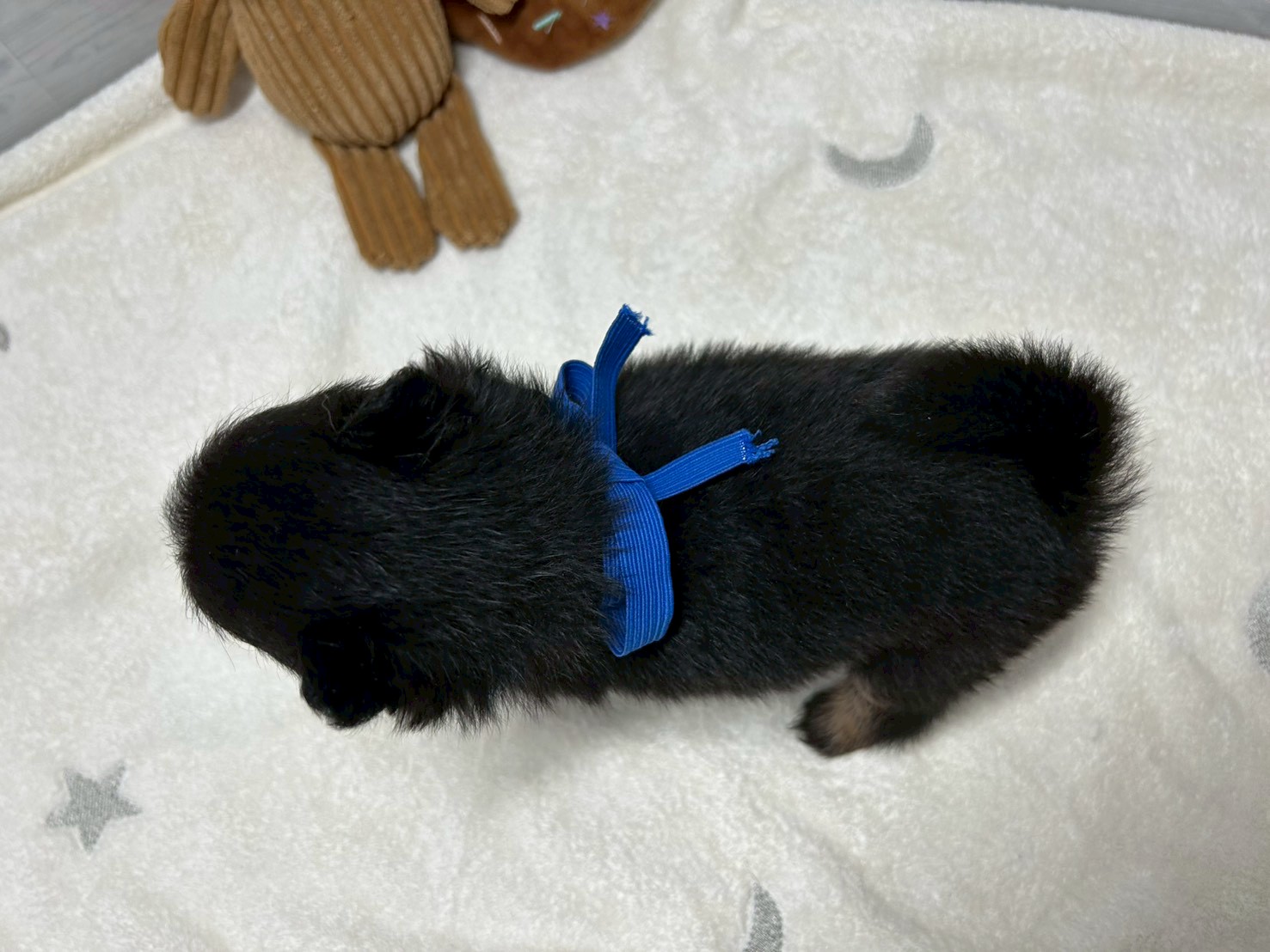 赤ちゃん写真2-3