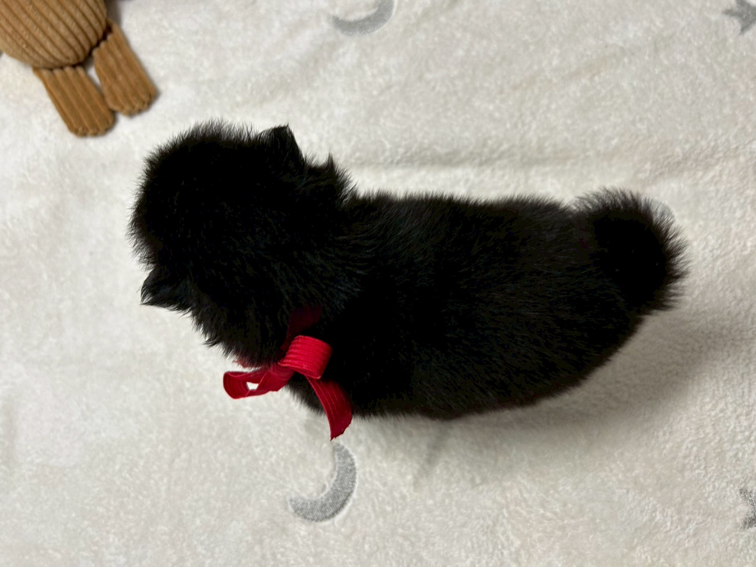 赤ちゃん写真2-3