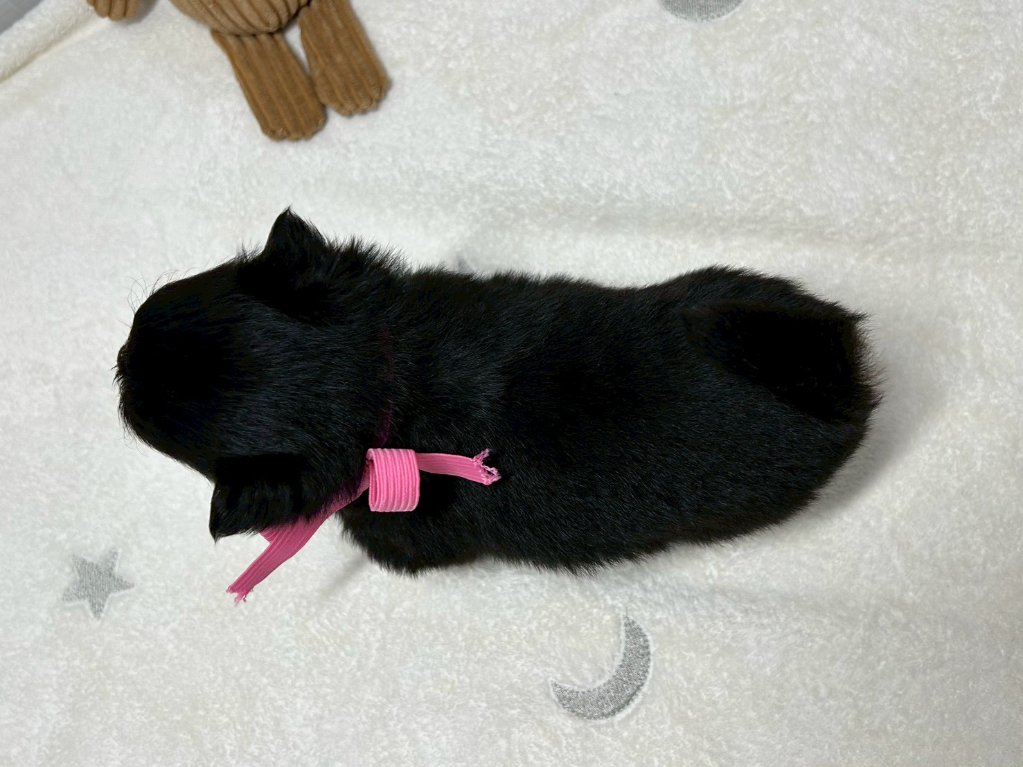 赤ちゃん写真2-3