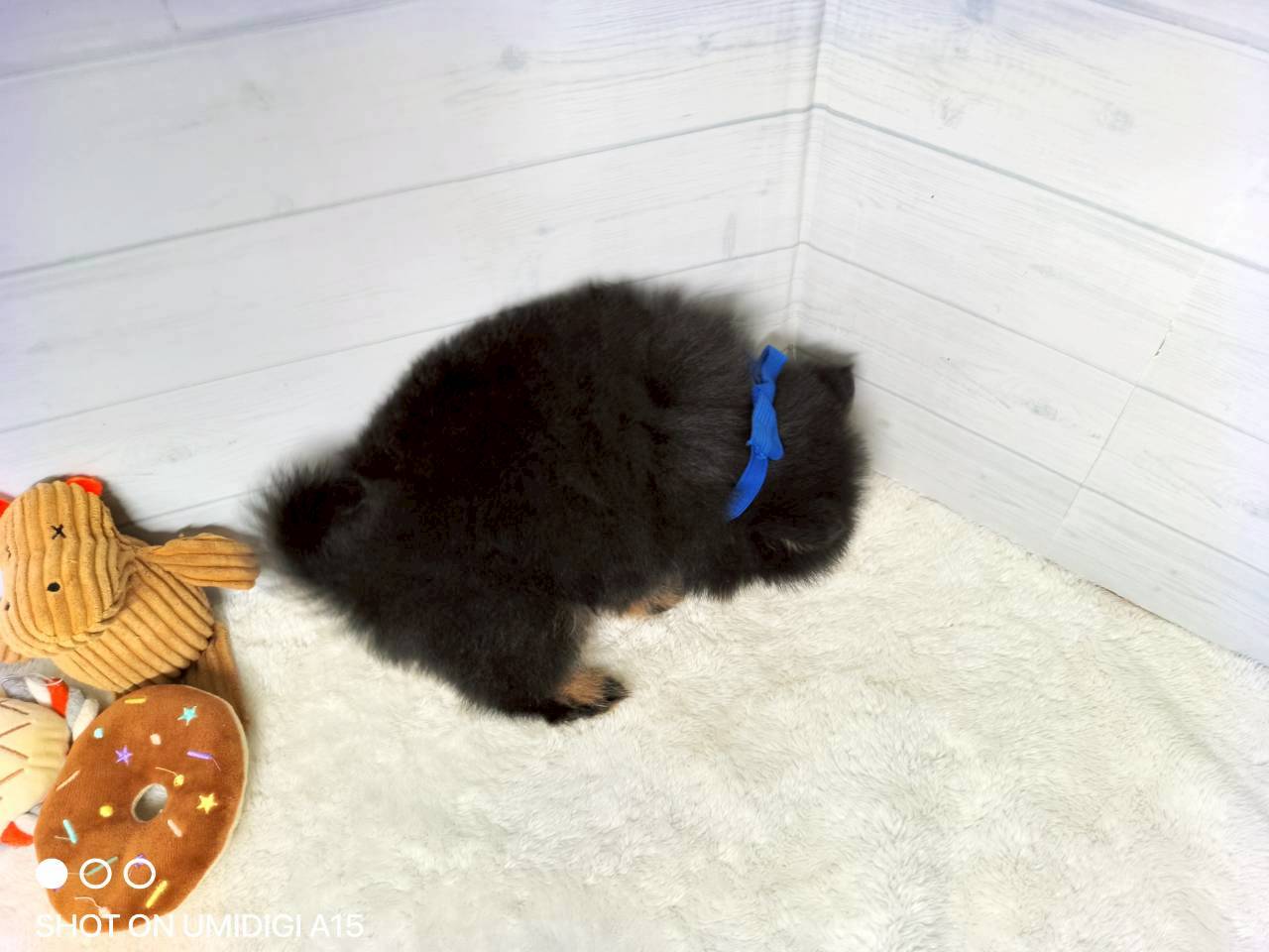 赤ちゃん写真3-3