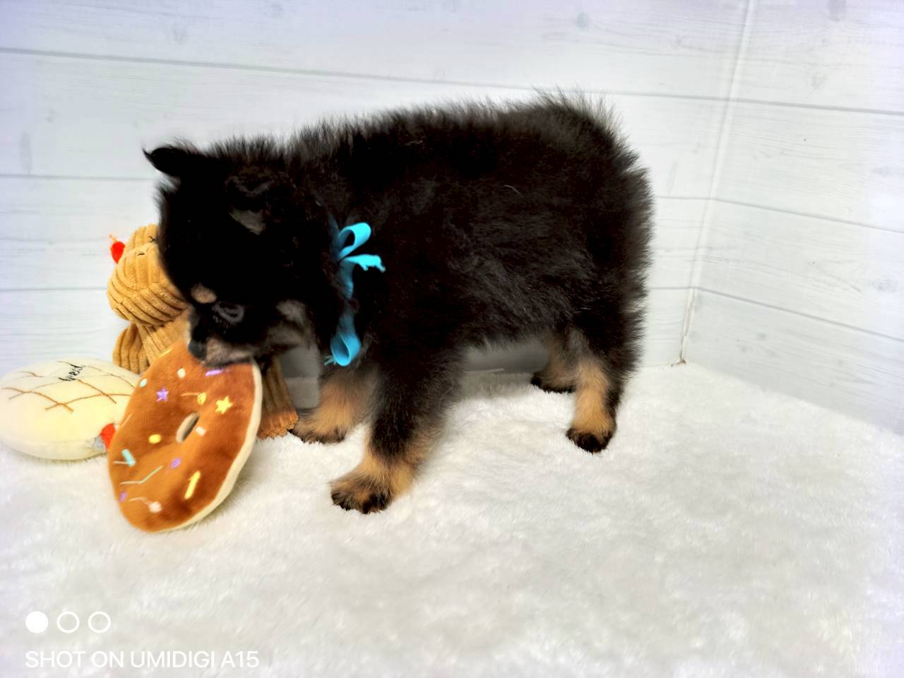 赤ちゃん写真3-2