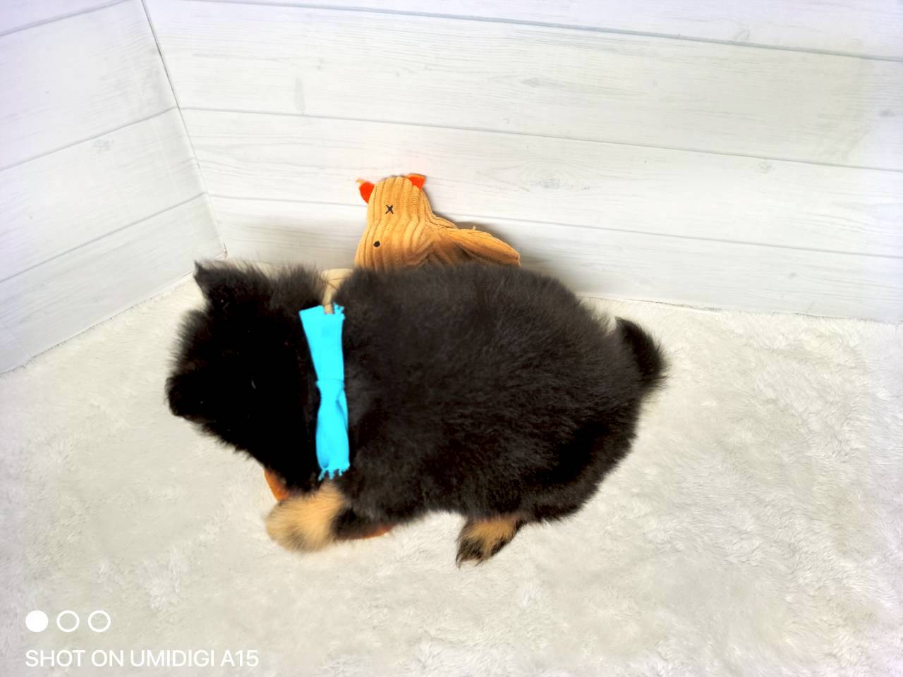 赤ちゃん写真3-3