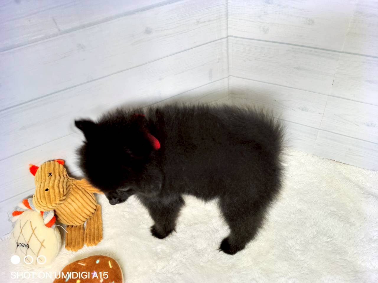 赤ちゃん写真3-3