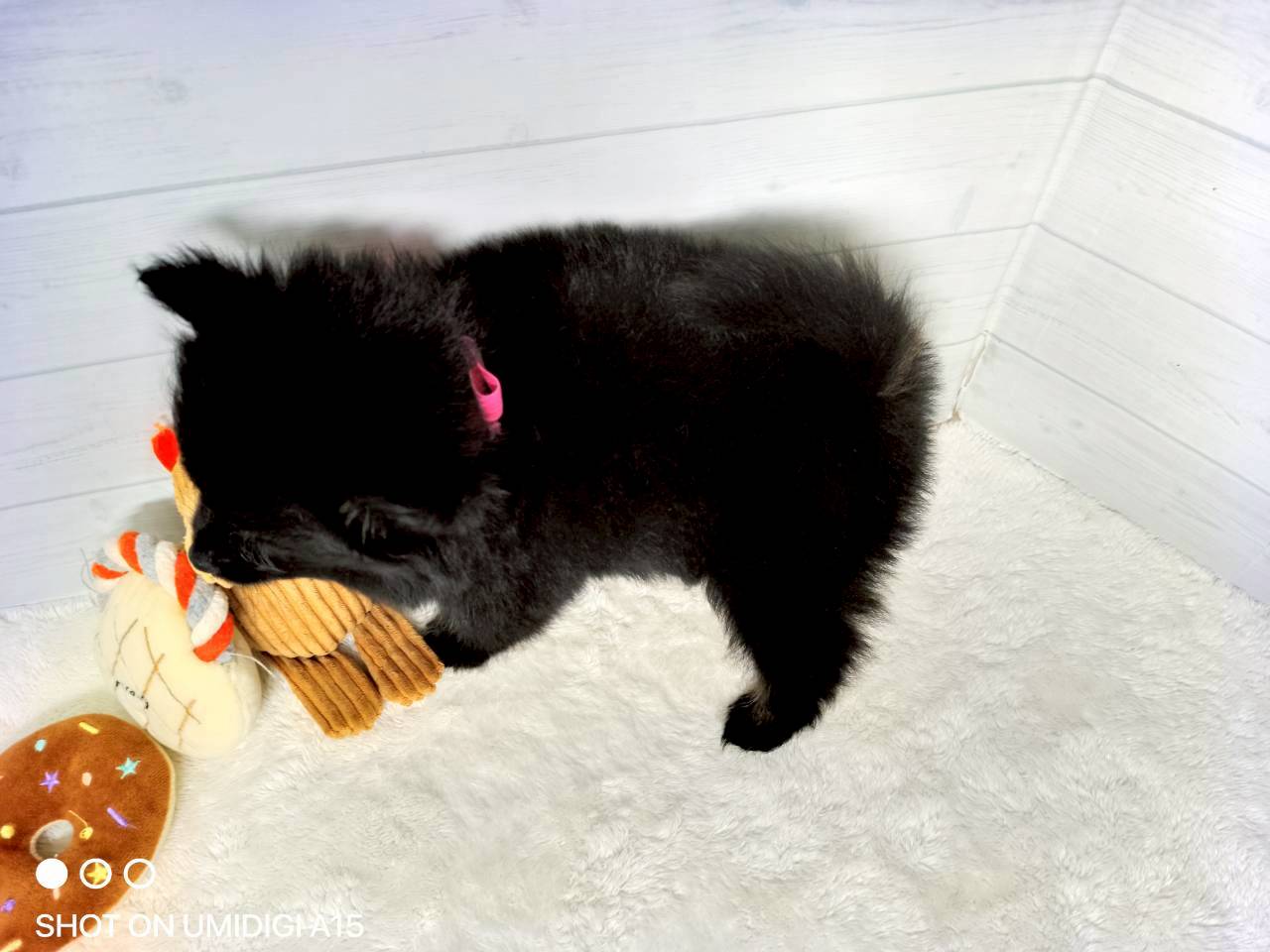 赤ちゃん写真3-3