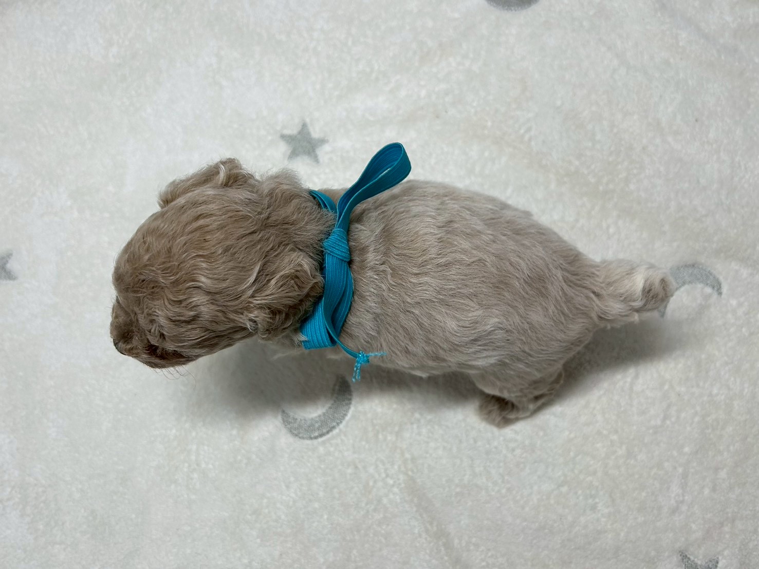 赤ちゃん写真2-3