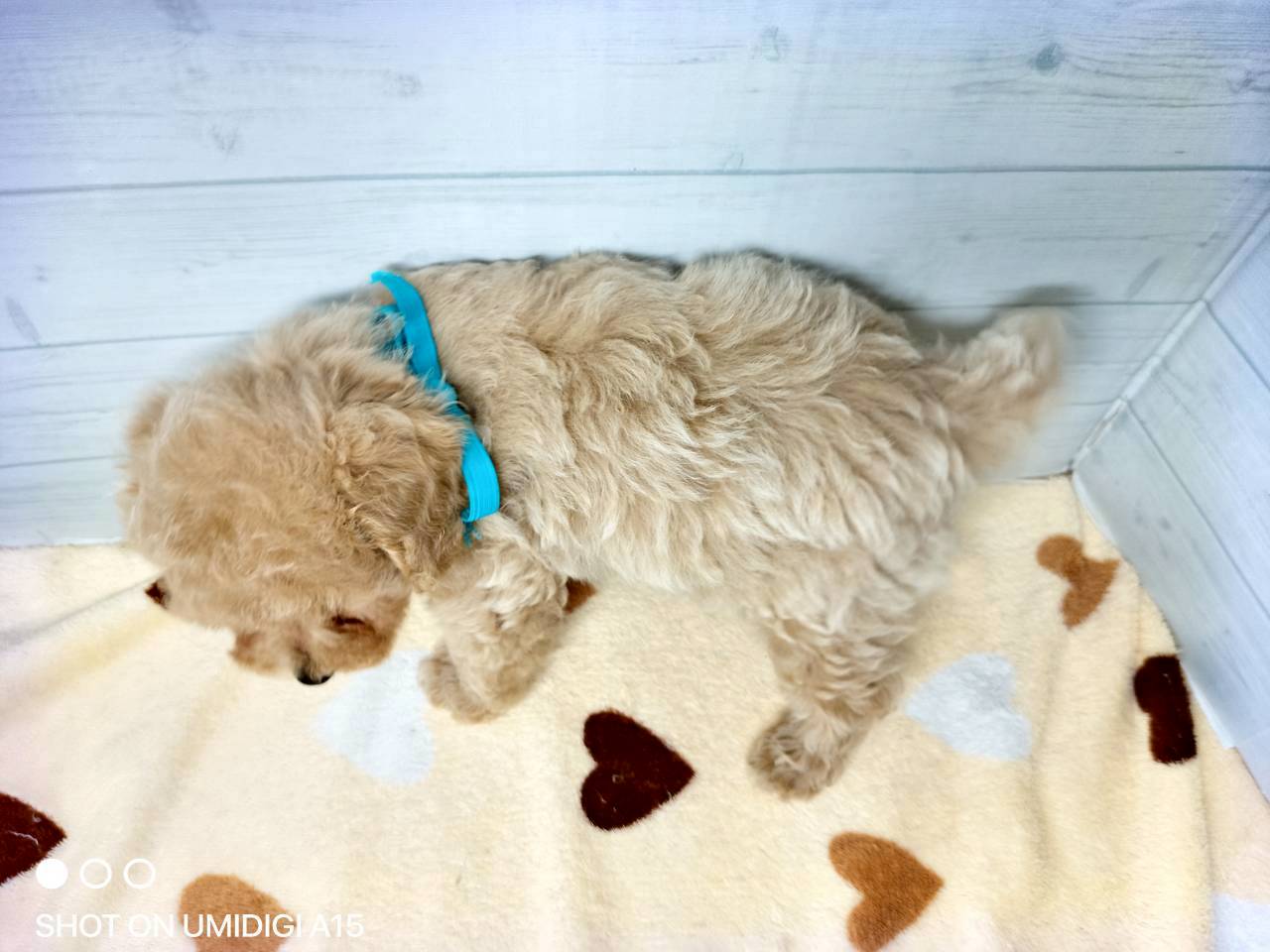 赤ちゃん写真3-3