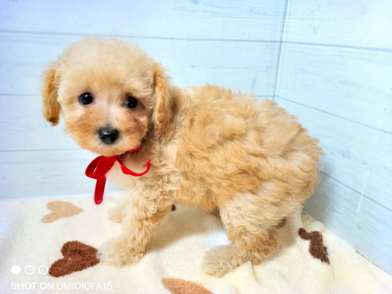 赤ちゃん写真3-2