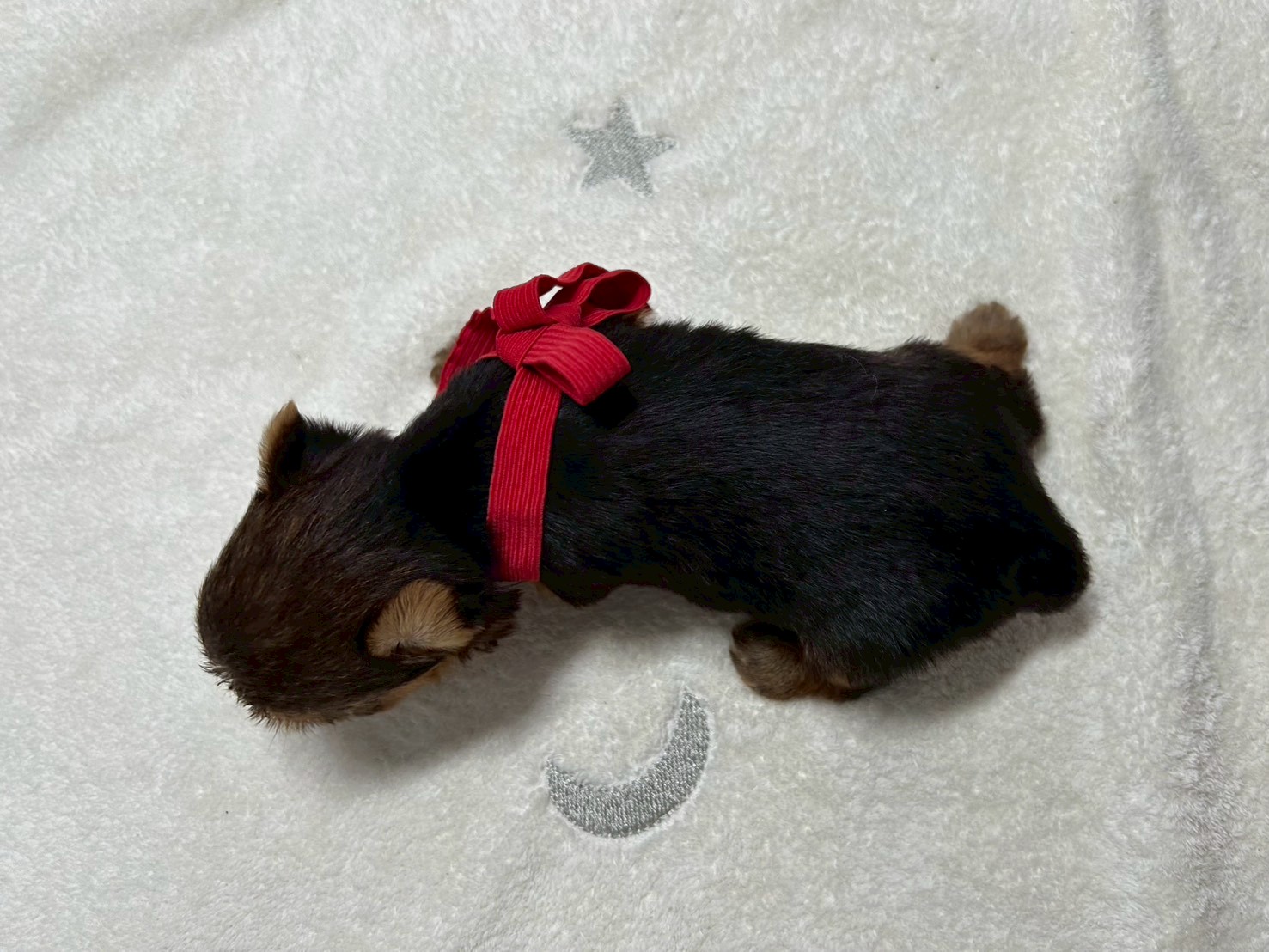 赤ちゃん写真2-3