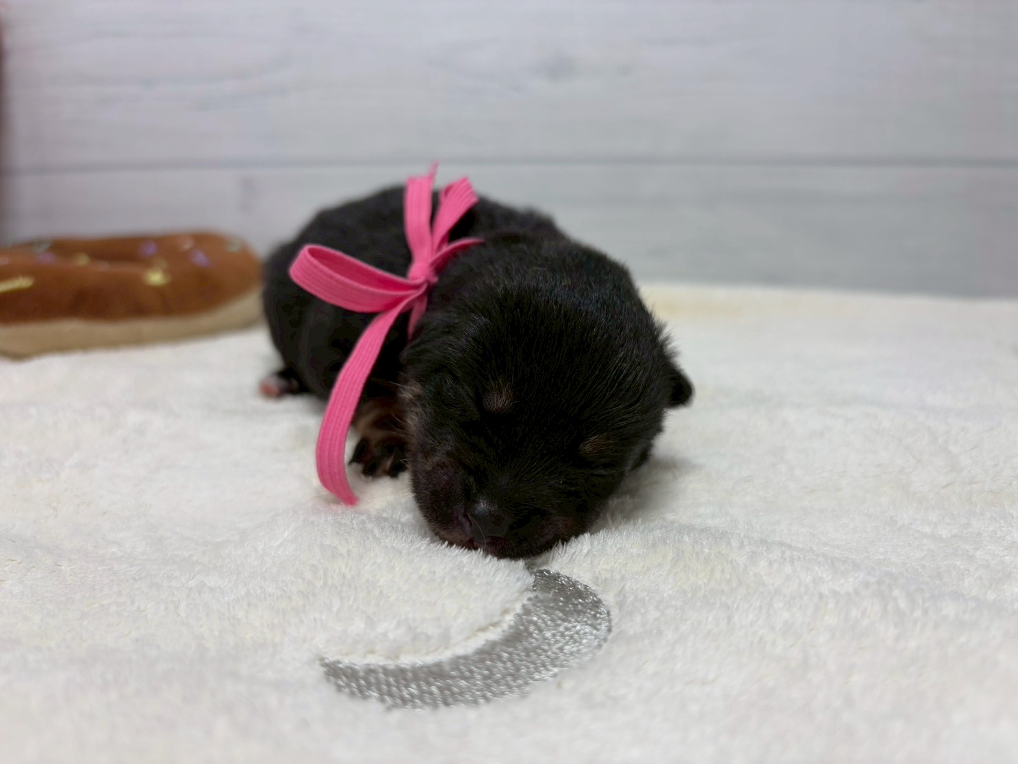 赤ちゃん写真1-1