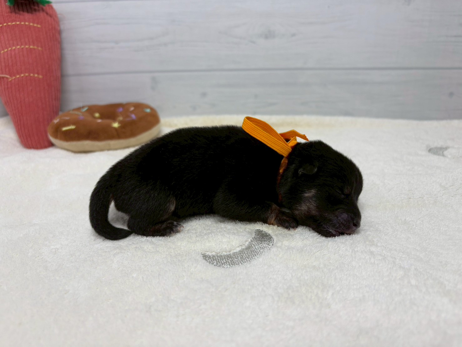 赤ちゃん写真1-2