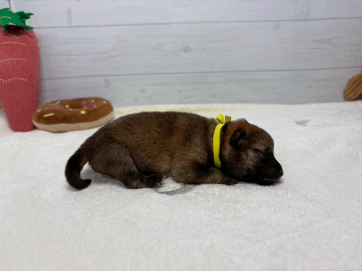 赤ちゃん写真1-2