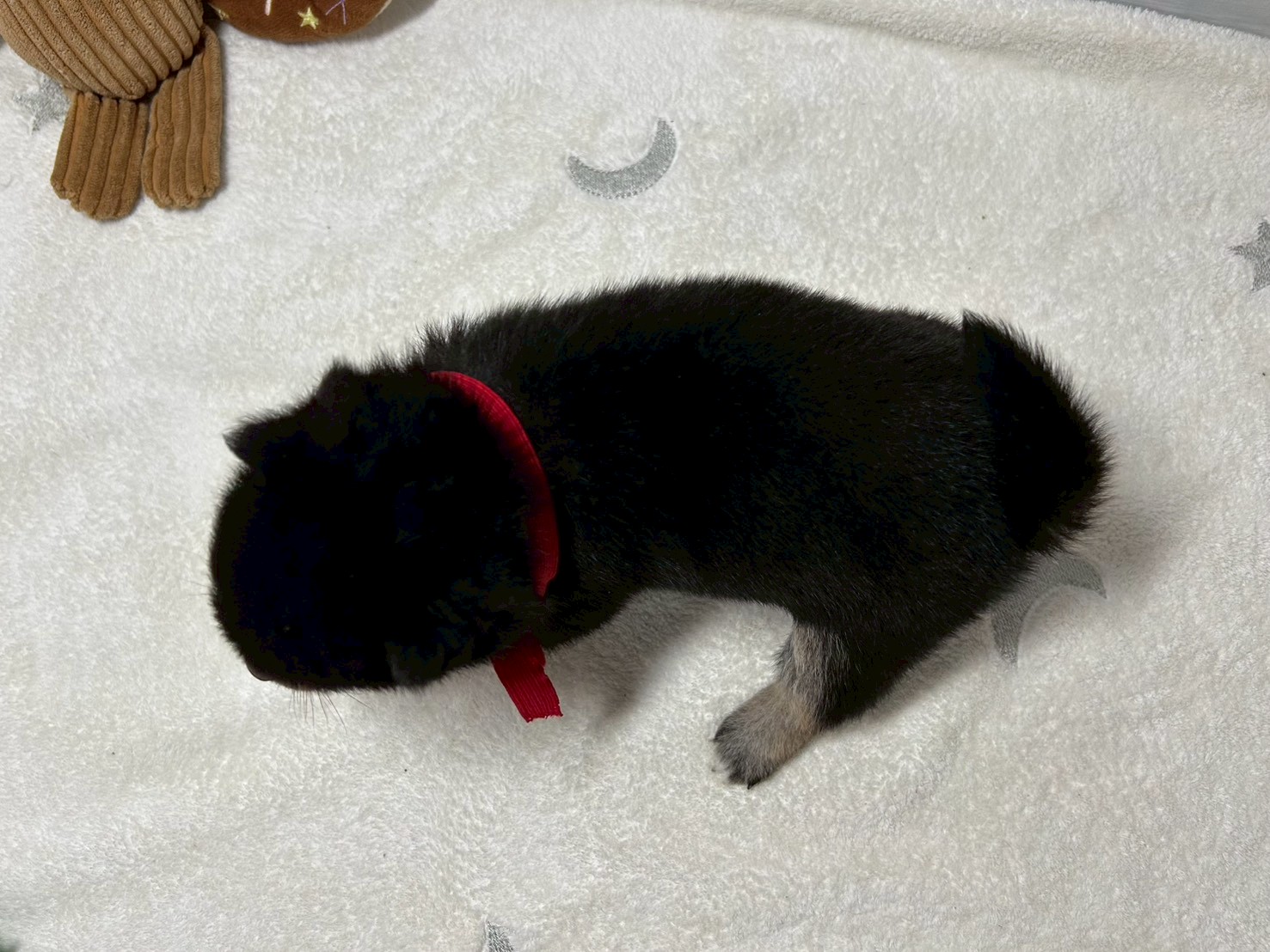 赤ちゃん写真2-3