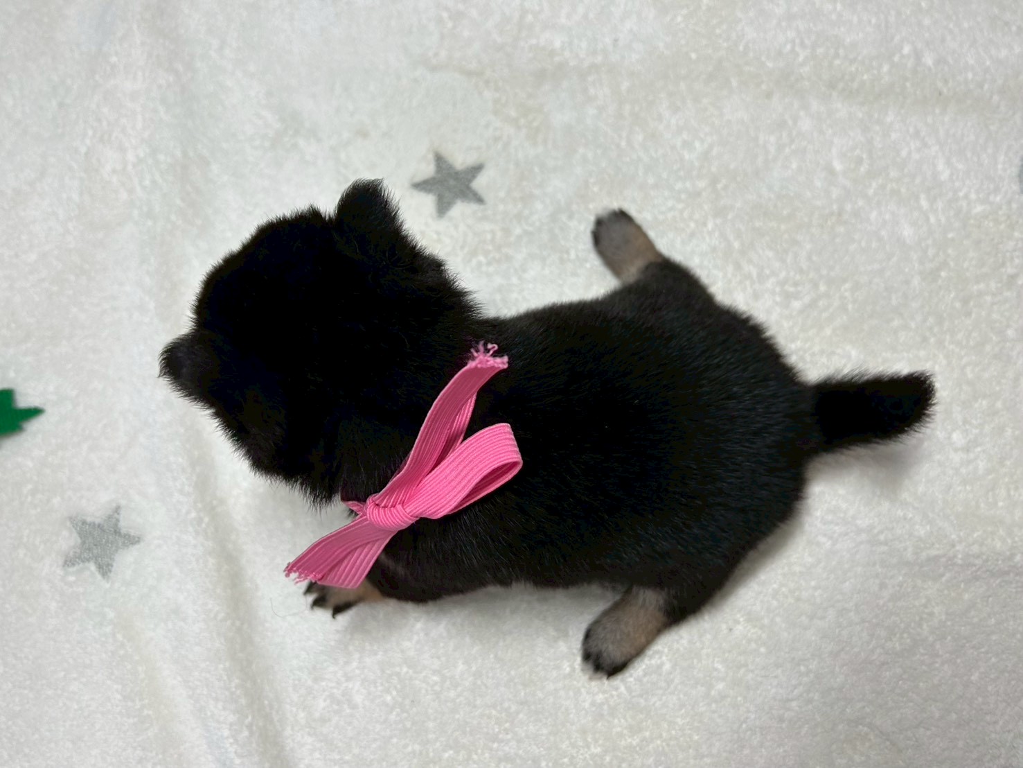 赤ちゃん写真2-3