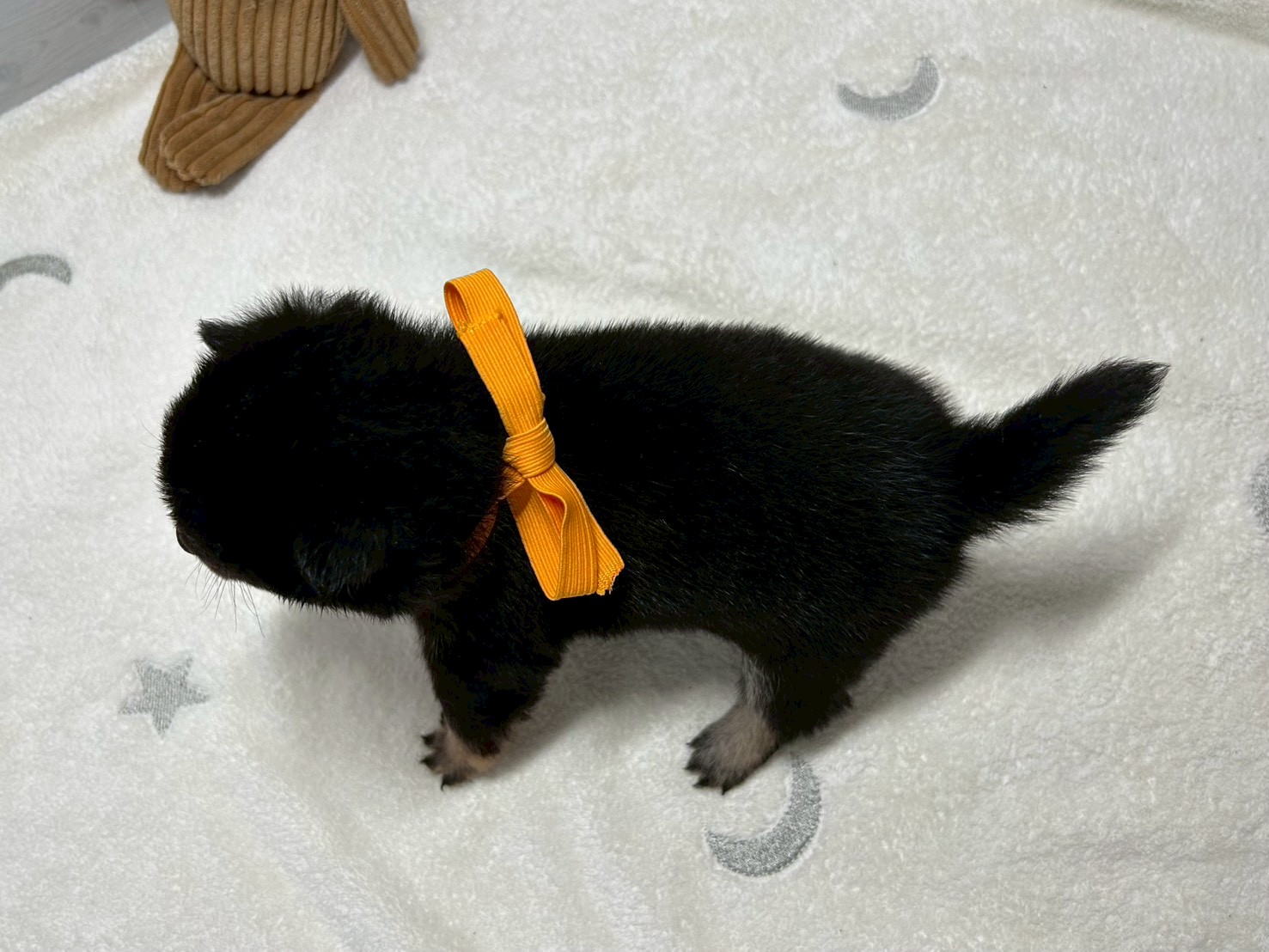 赤ちゃん写真2-3