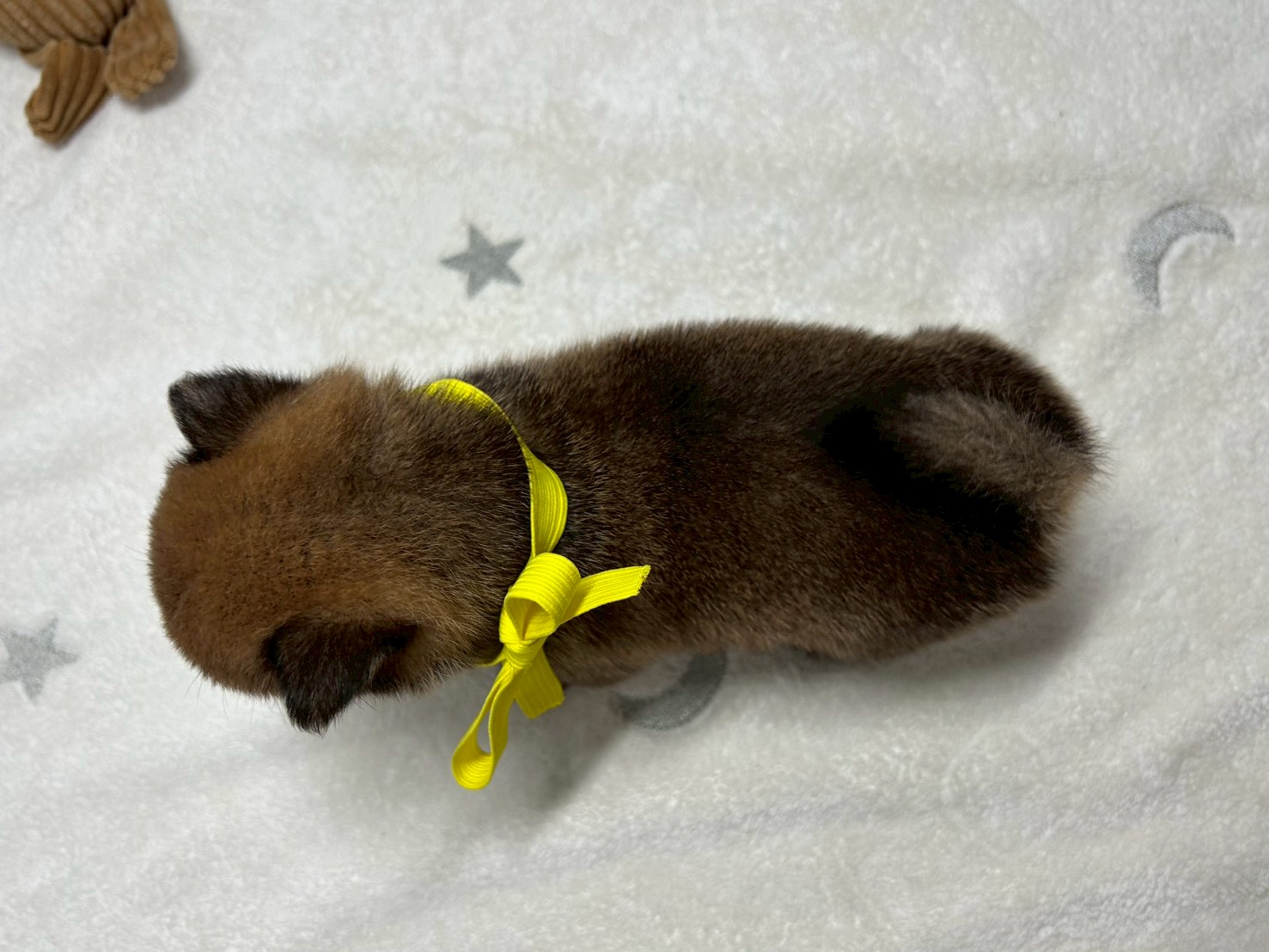 赤ちゃん写真2-3