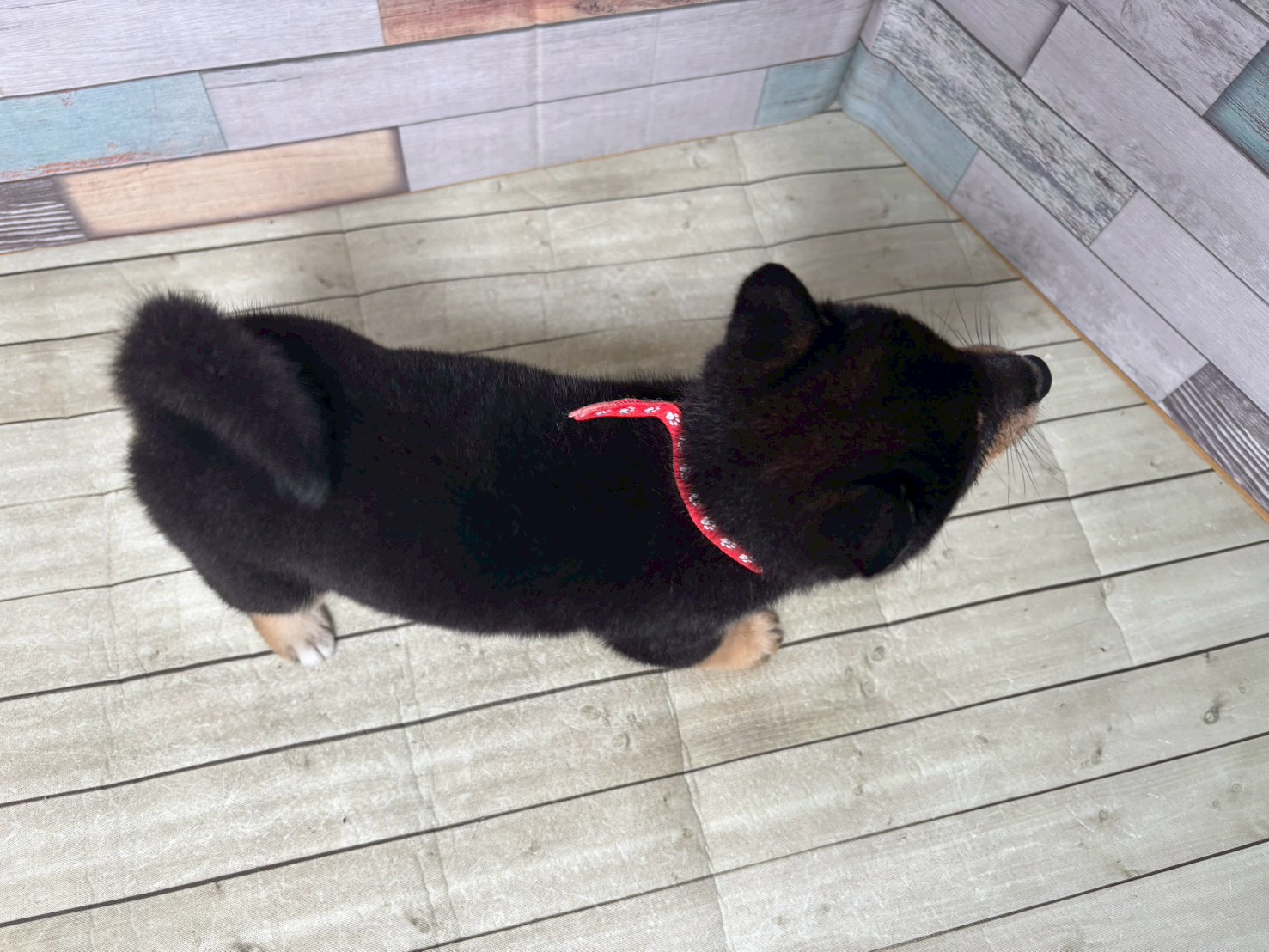 赤ちゃん写真3-3