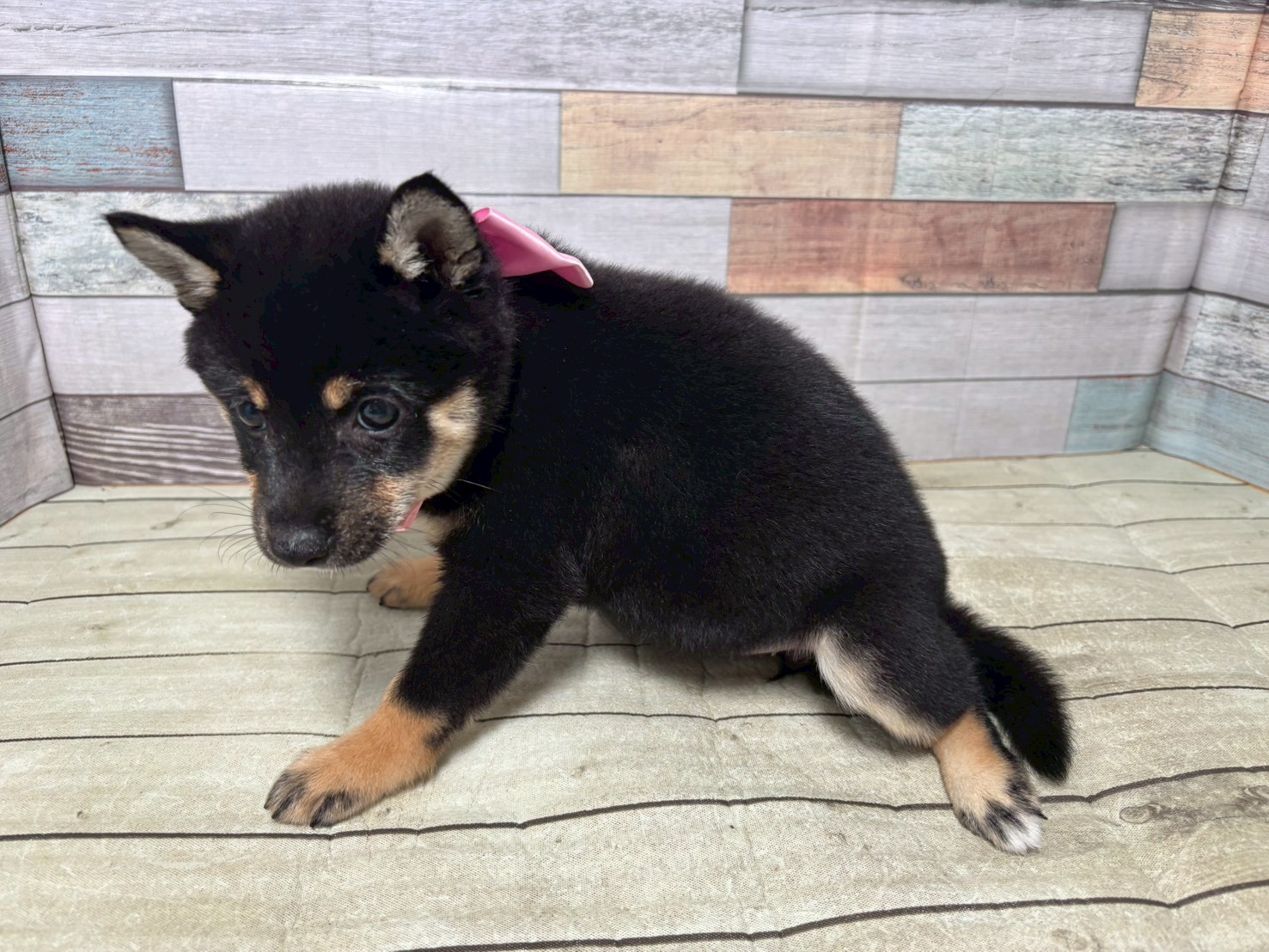 赤ちゃん写真3-2