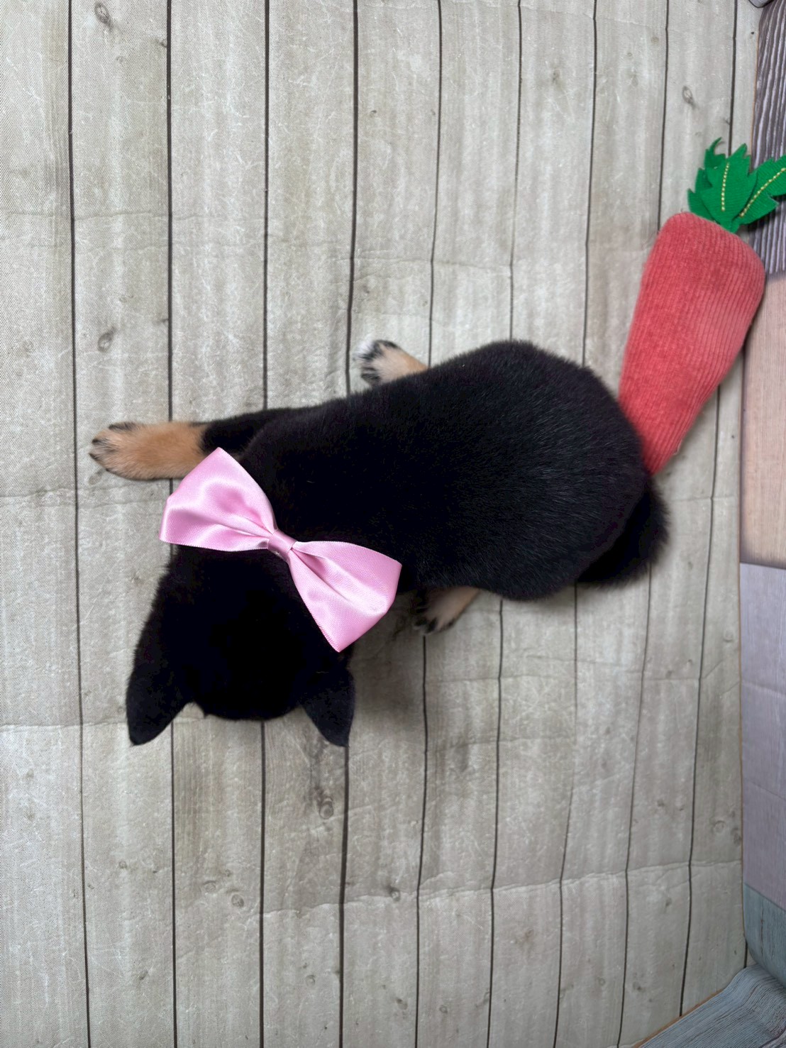 赤ちゃん写真3-3