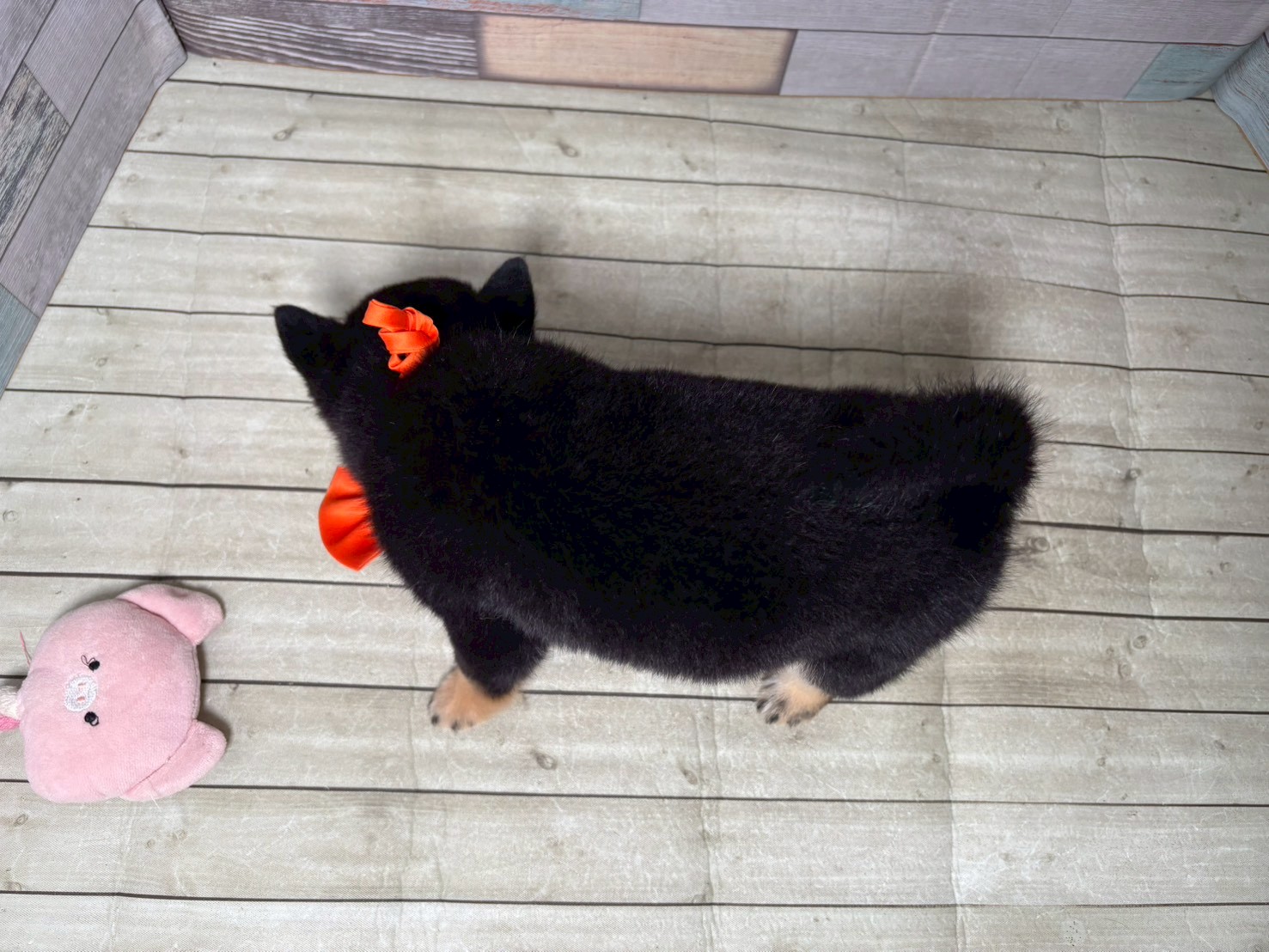 赤ちゃん写真3-3