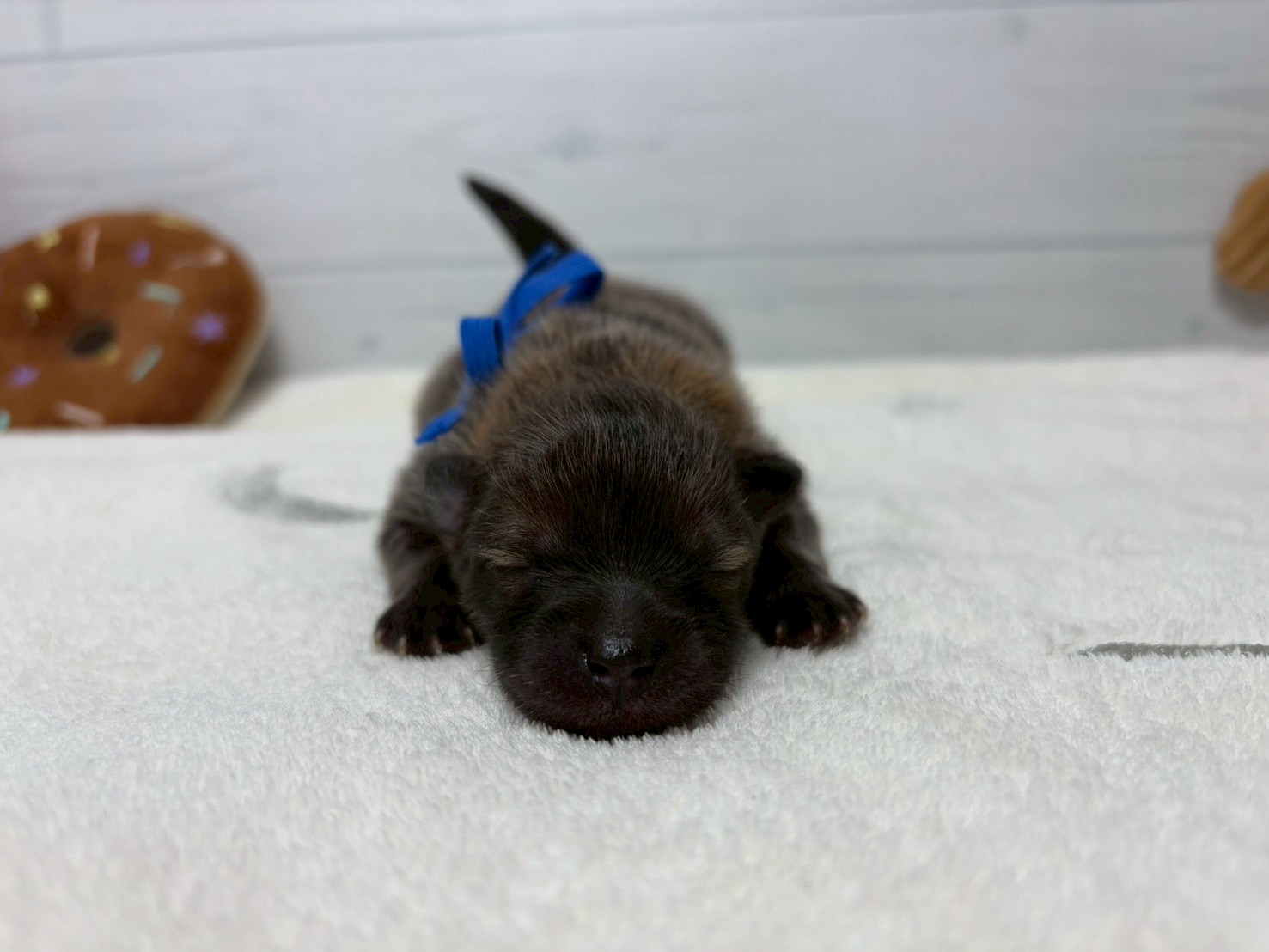 赤ちゃん写真1-1