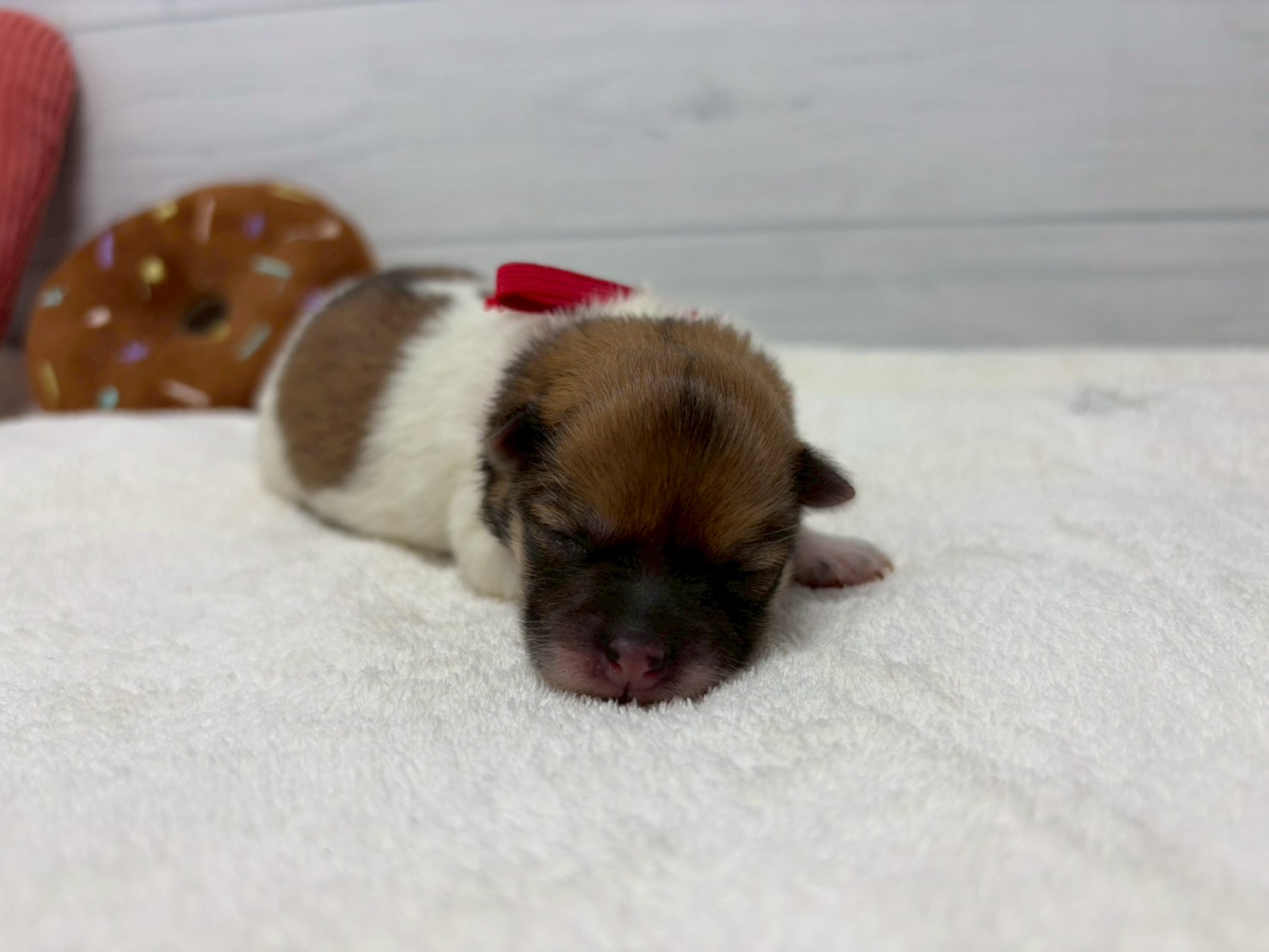 赤ちゃん写真1-1