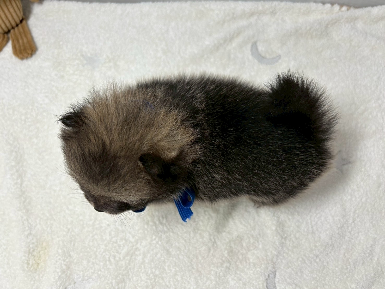 赤ちゃん写真2-3
