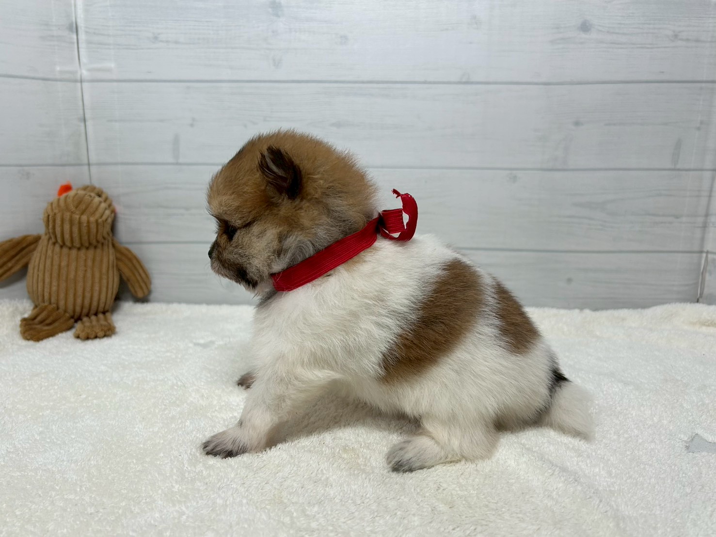赤ちゃん写真2-2
