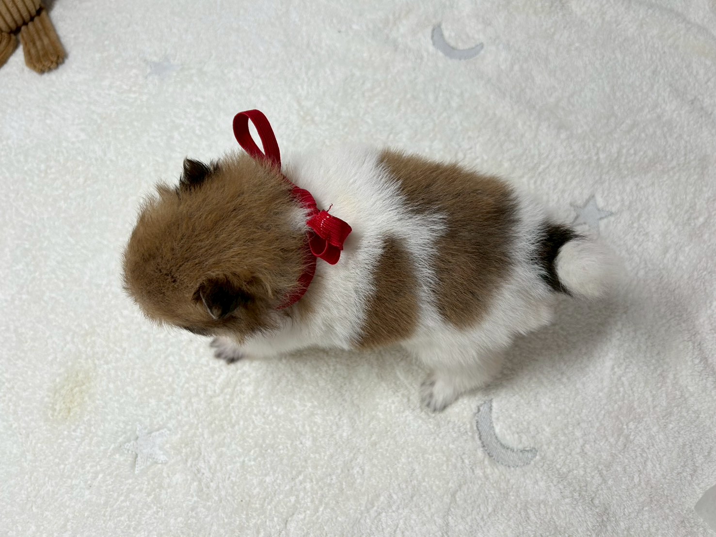 赤ちゃん写真2-3