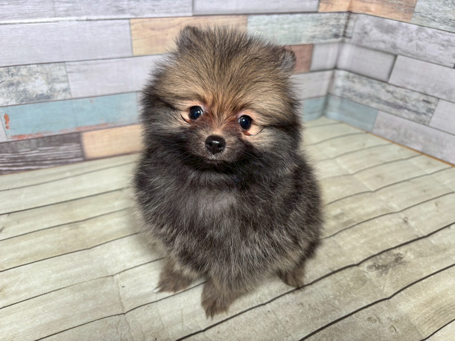 赤ちゃん写真3-1