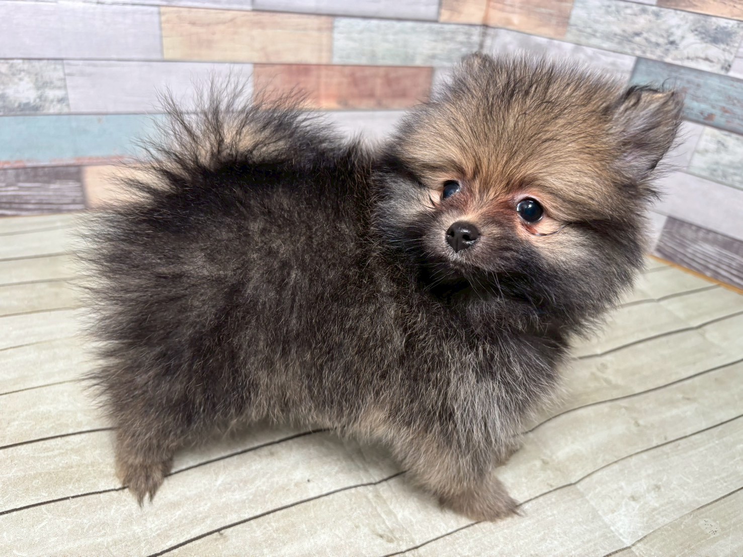 赤ちゃん写真3-2