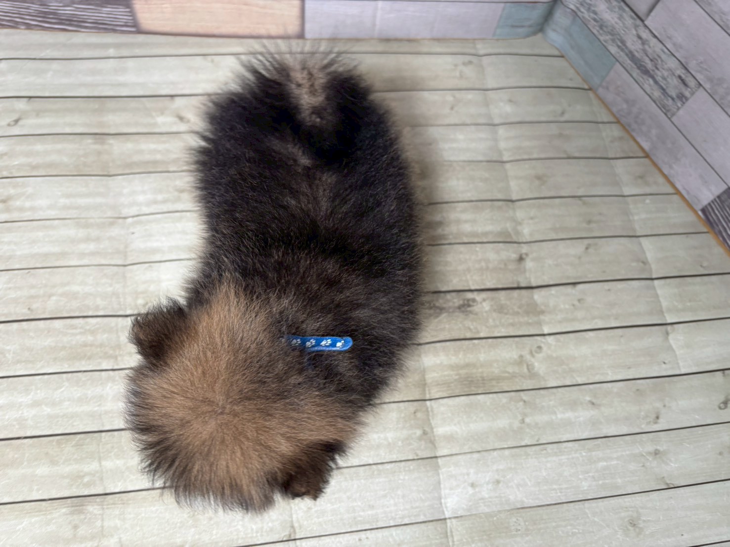 赤ちゃん写真3-3