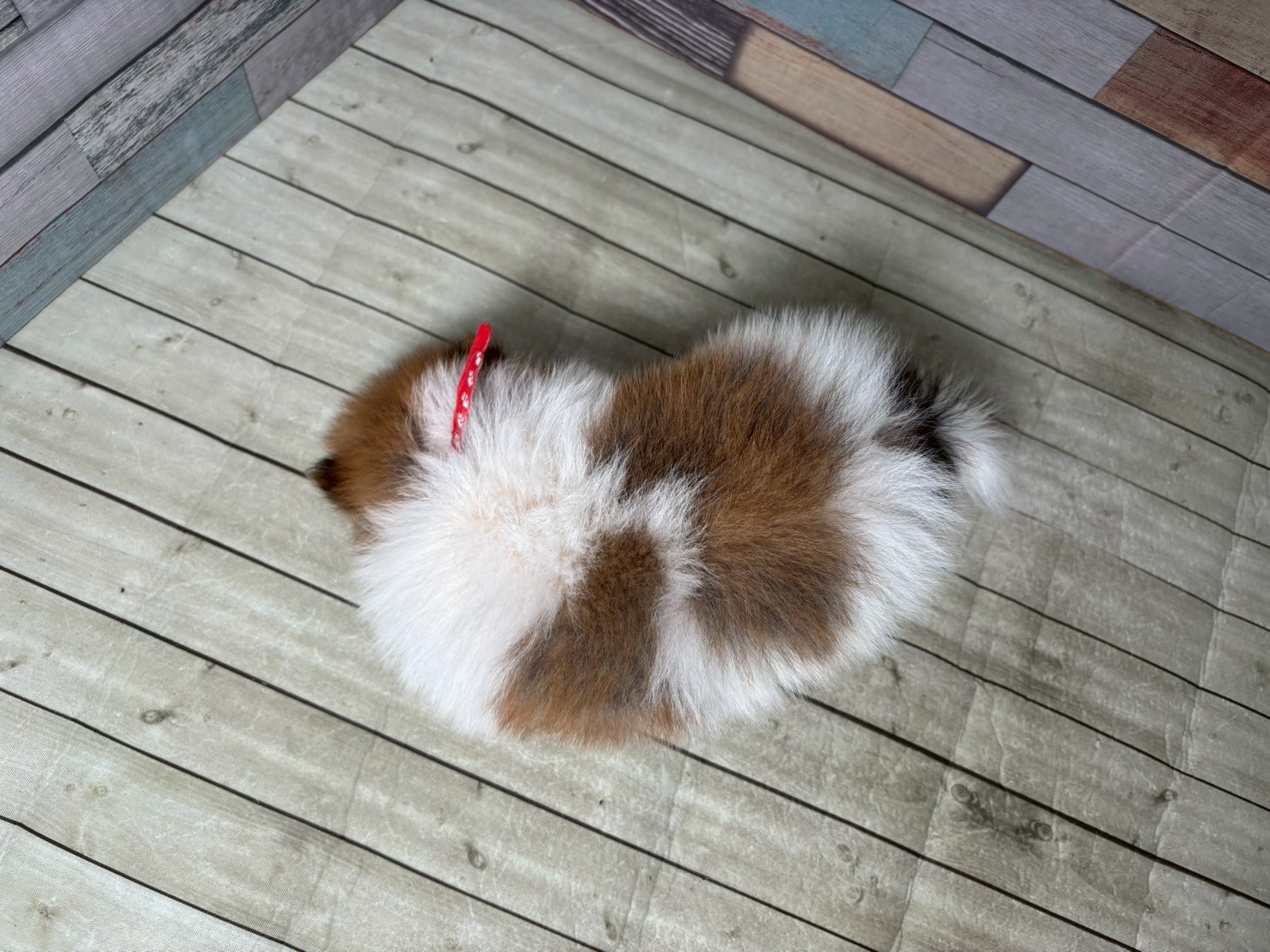 赤ちゃん写真3-3
