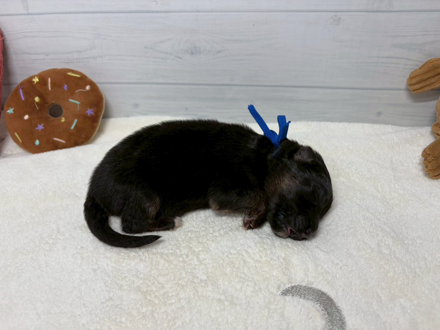 赤ちゃん写真1-2