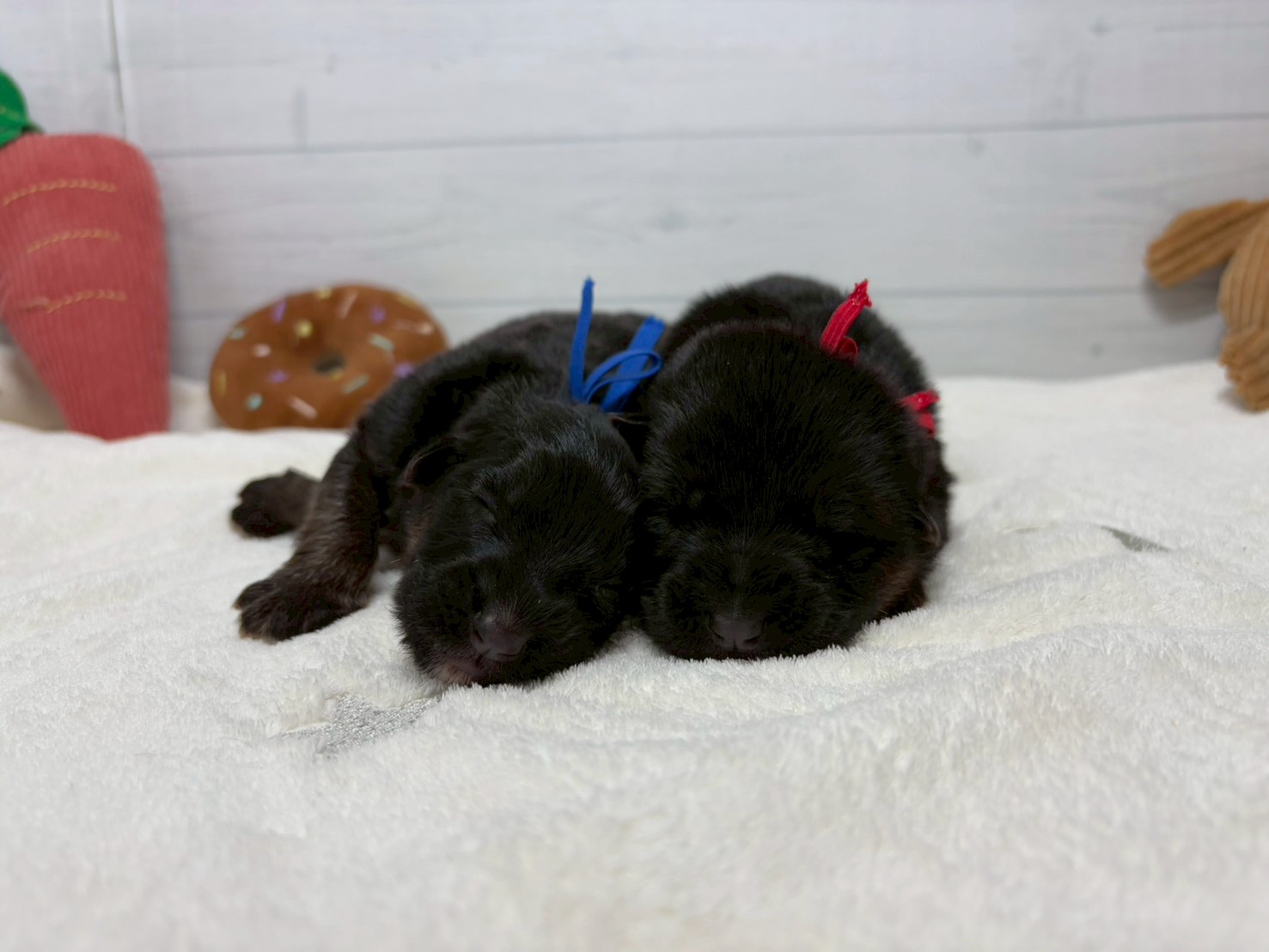 赤ちゃん写真1-3