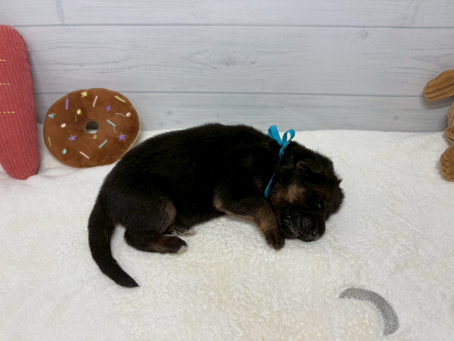 赤ちゃん写真1-2