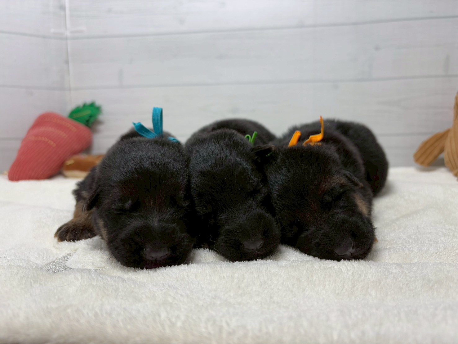 赤ちゃん写真1-3