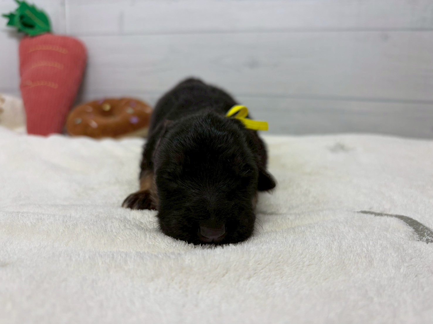 赤ちゃん写真1-1