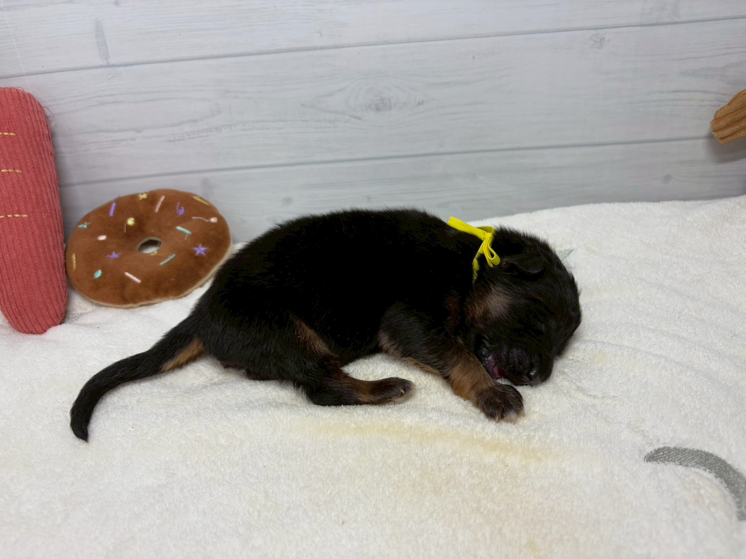 赤ちゃん写真1-2