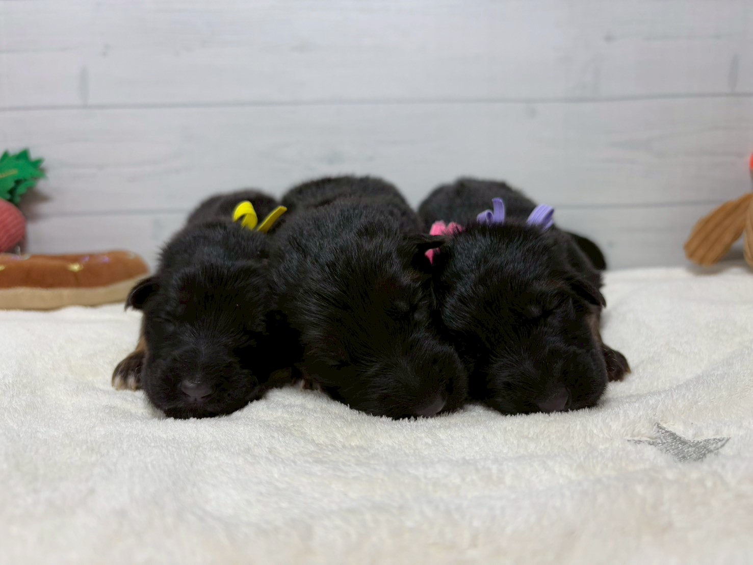 赤ちゃん写真1-3