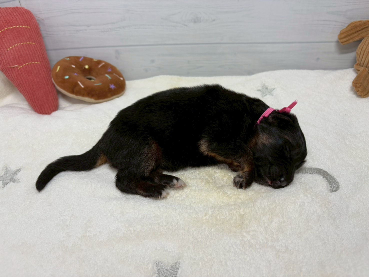 赤ちゃん写真1-2