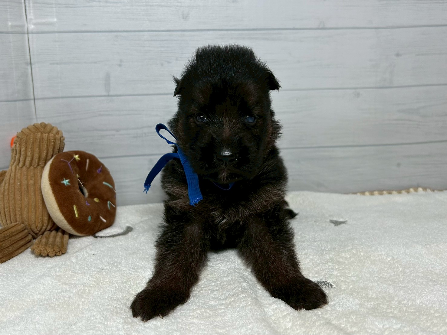 赤ちゃん写真2-1