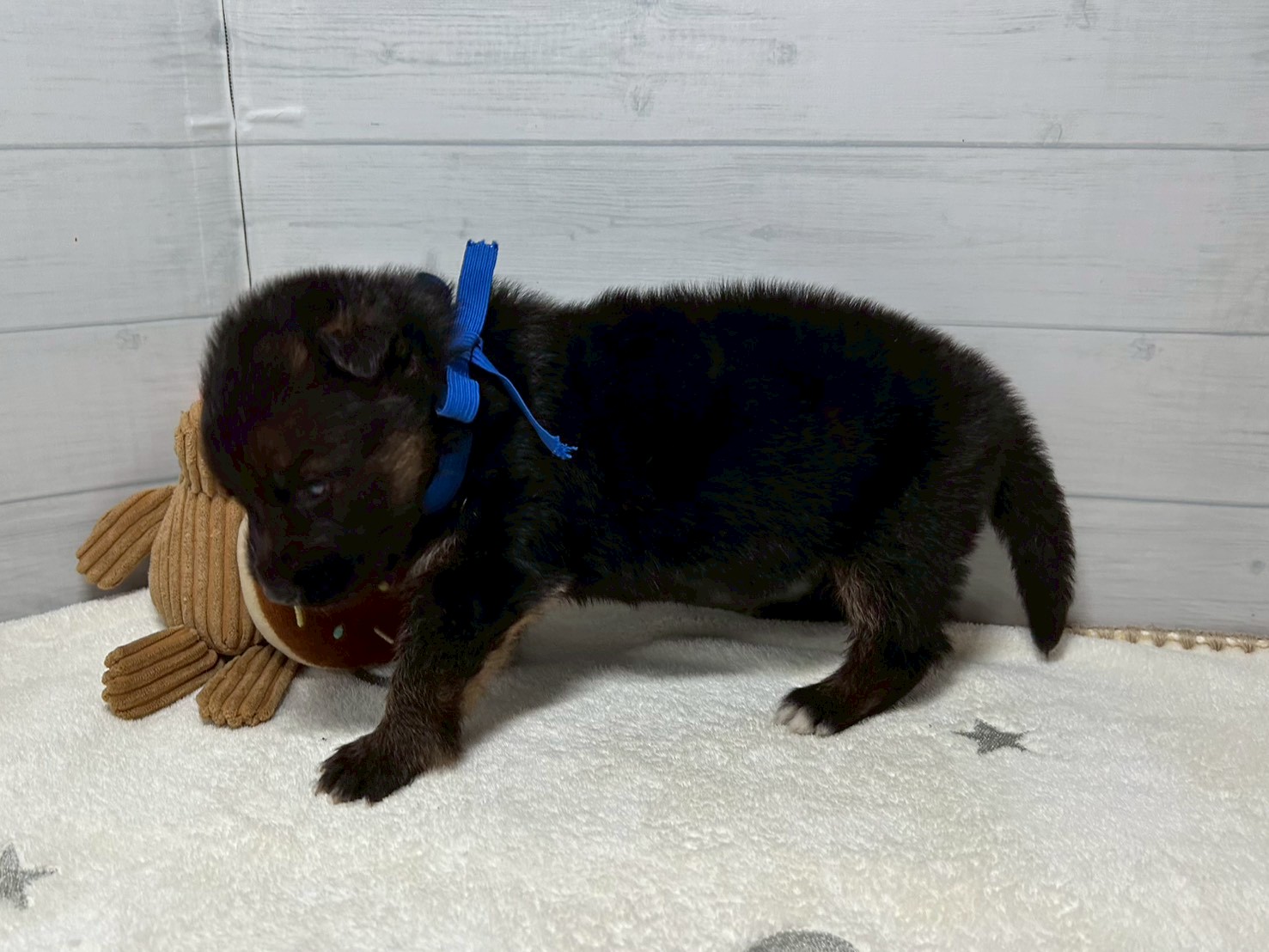 赤ちゃん写真2-2