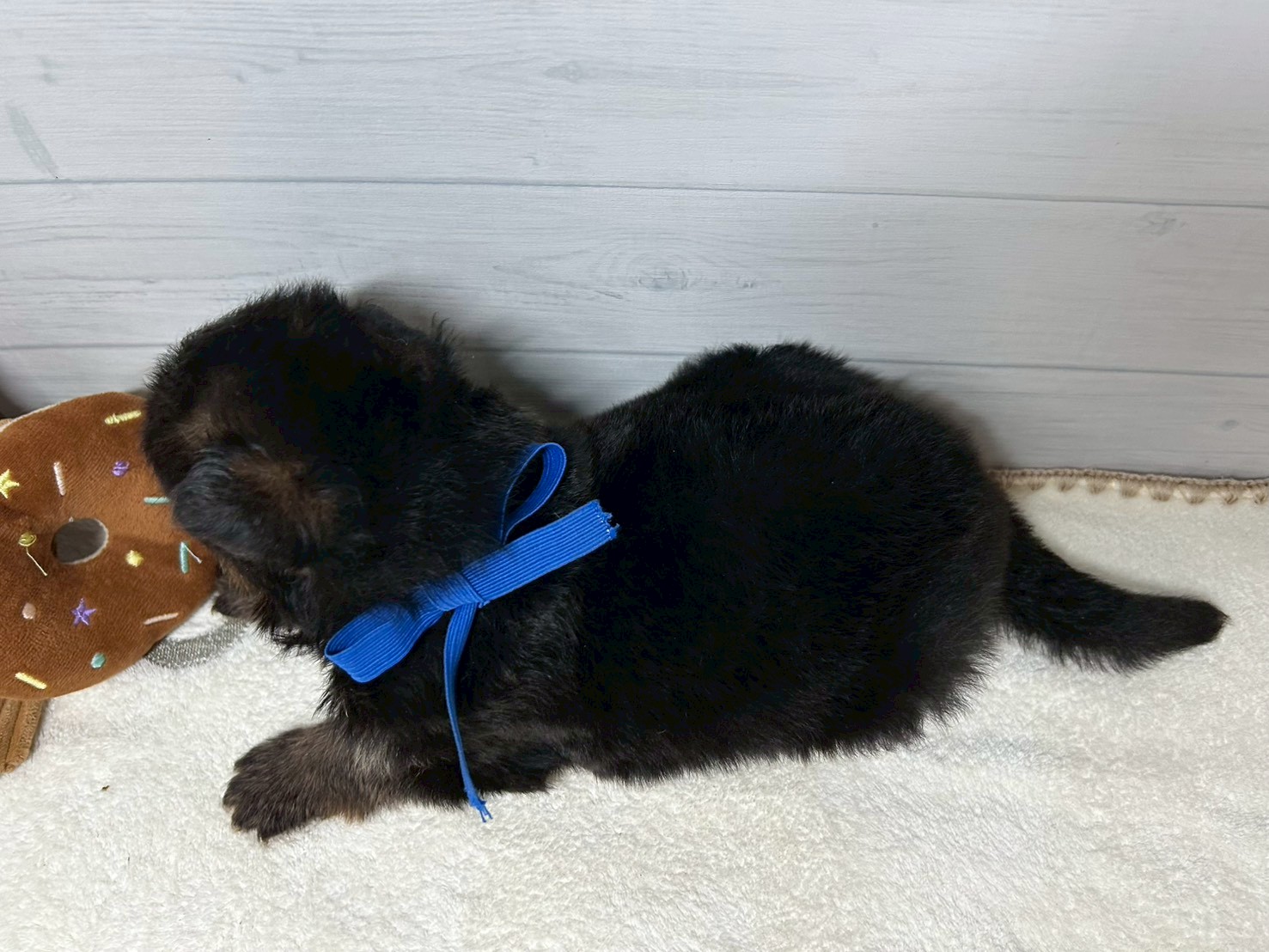 赤ちゃん写真2-3