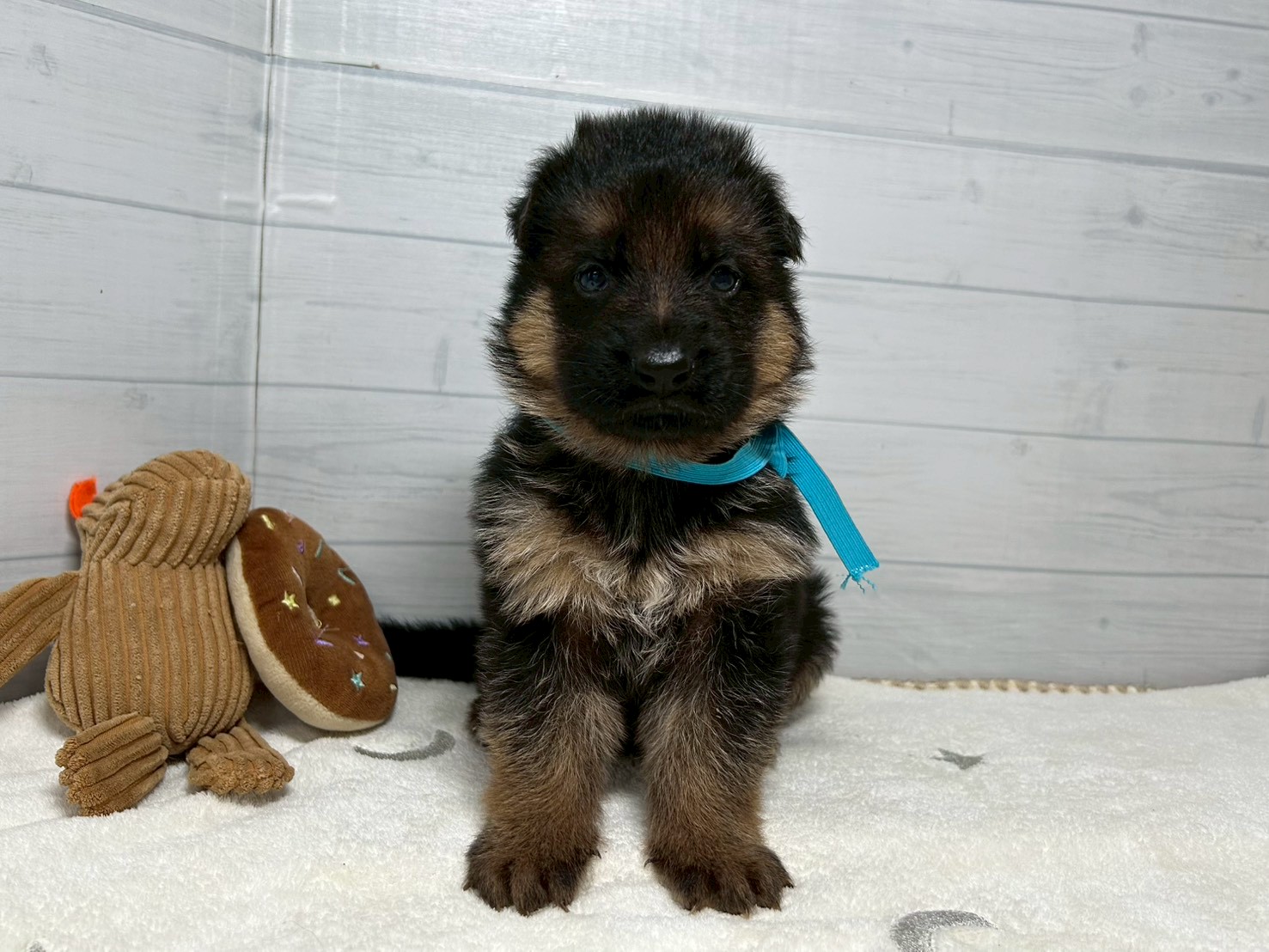 赤ちゃん写真2-1