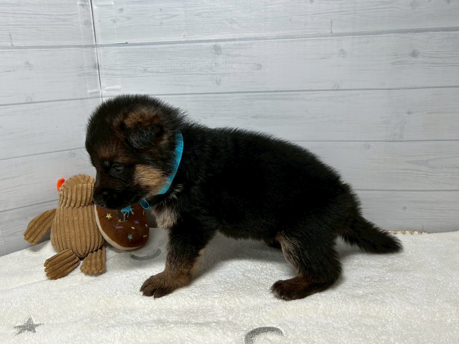 赤ちゃん写真2-2