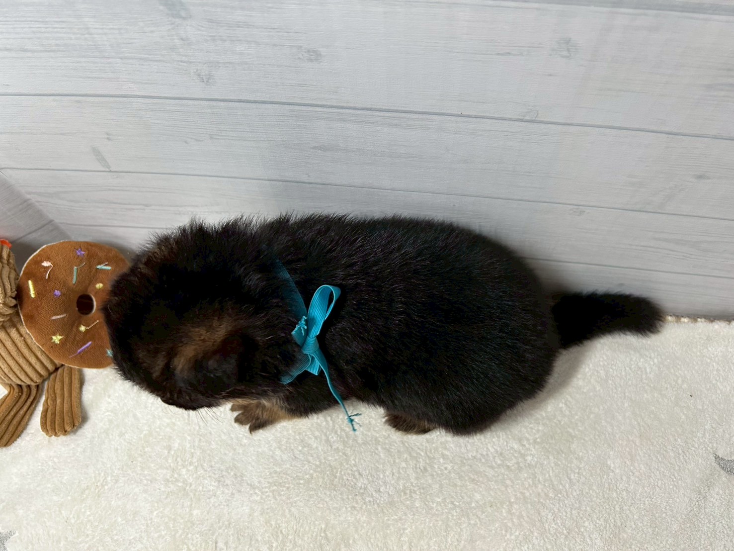 赤ちゃん写真2-3