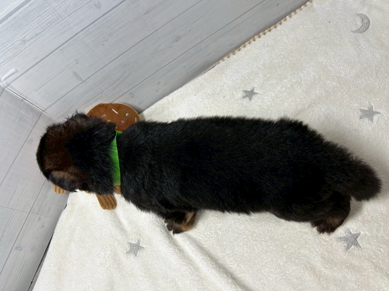 赤ちゃん写真2-3